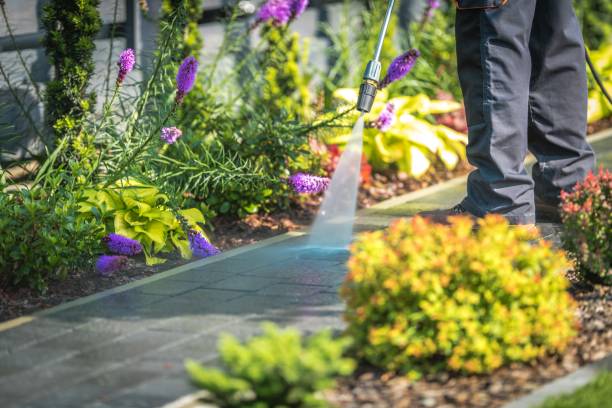 Reliable Mcguire Af, NJ Pressure Washing Services Solutions